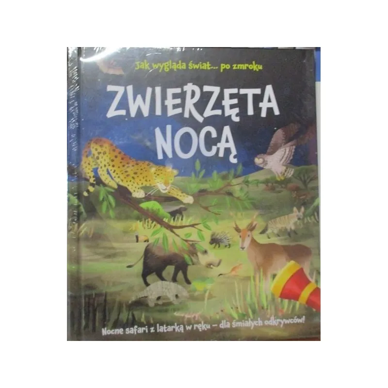 JAK WYGLADA ŚWIAT PO ZMROKU ZWIERZĘTA NOCĄ NOCNE SAFARI Z LATARKĄ W RĘKU DLA ŚMIAŁYCH ODKRYWCÓW