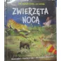 JAK WYGLADA ŚWIAT PO ZMROKU ZWIERZĘTA NOCĄ NOCNE SAFARI Z LATARKĄ W RĘKU DLA ŚMIAŁYCH ODKRYWCÓW