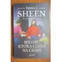 MIŁOŚĆ, KTÓRA CZEKA NA CIEBIE. JAK CZERPAĆ Z MIŁOŚCI CHRYSTUSA