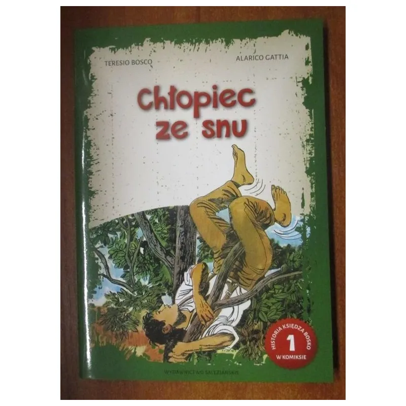 CHŁOPIEC ZE SNU. HISTORIA KSIĘDZA BOSKO W KOMIKSIE CZ. 1