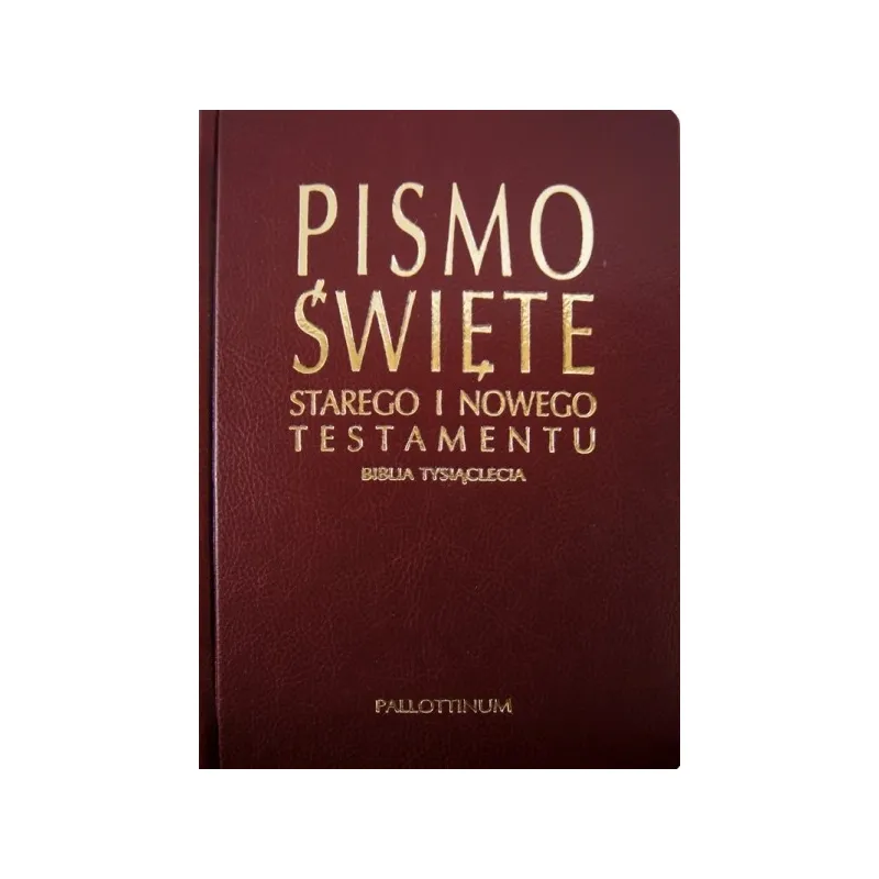 PISMO ŚWIĘTE STARY  I NOWY TESTAMENT OPRAWA Z PAGINAJĄ W SKÓRZE