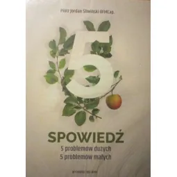 SPOWIEDŹ. 5 problemów dużych, 5 problemów małych