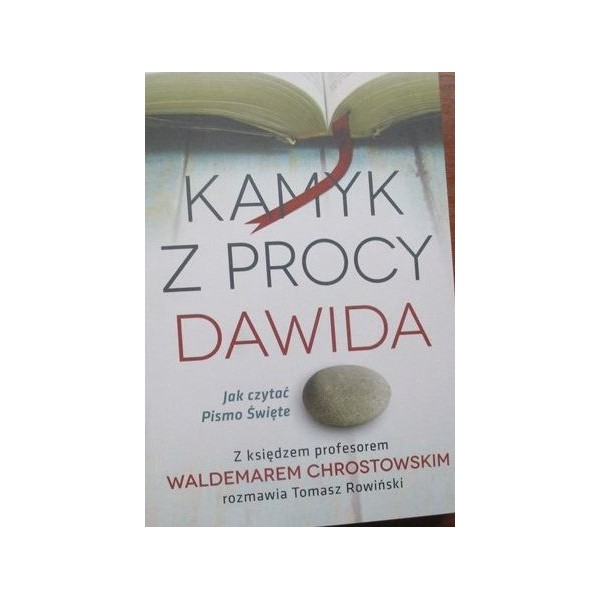 KAMYK Z PROCY DAWIDA Jak czytać Pismo Święte? - Ks.Waldemar Chrostowski