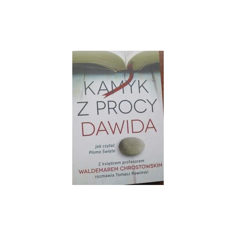 KAMYK Z PROCY DAWIDA Jak czytać Pismo Święte? - Ks.Waldemar Chrostowski