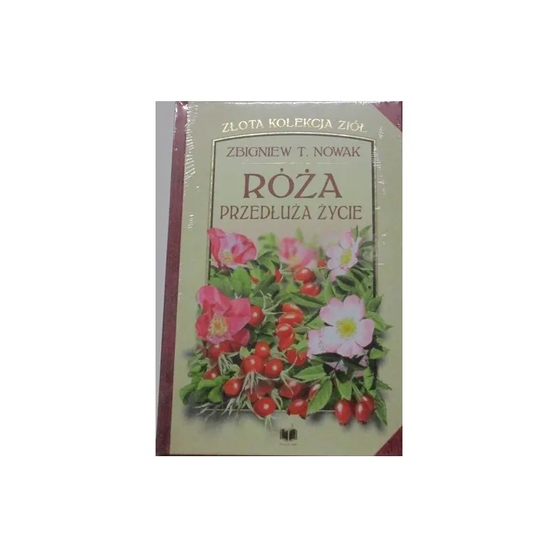 RÓŻA PRZEDŁUŻA ŻYCIE